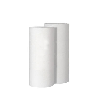 Cartouche de filtre à charbon actif de 10 pouces pour le traitement de l'eau