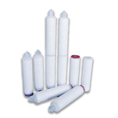 Cartouche de filtre à eau à membrane plissée PTFE de 10 pouces 0,1 microns pour traitement biologique