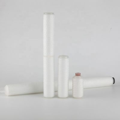 Cartouche de filtre plissée stérilisée à membrane absolue de 0,22 micron remplaçable