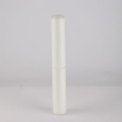 Filtre plissé de 20 pouces avec membrane PTFE de 0,22 0,45 microns et support technique vidéo
